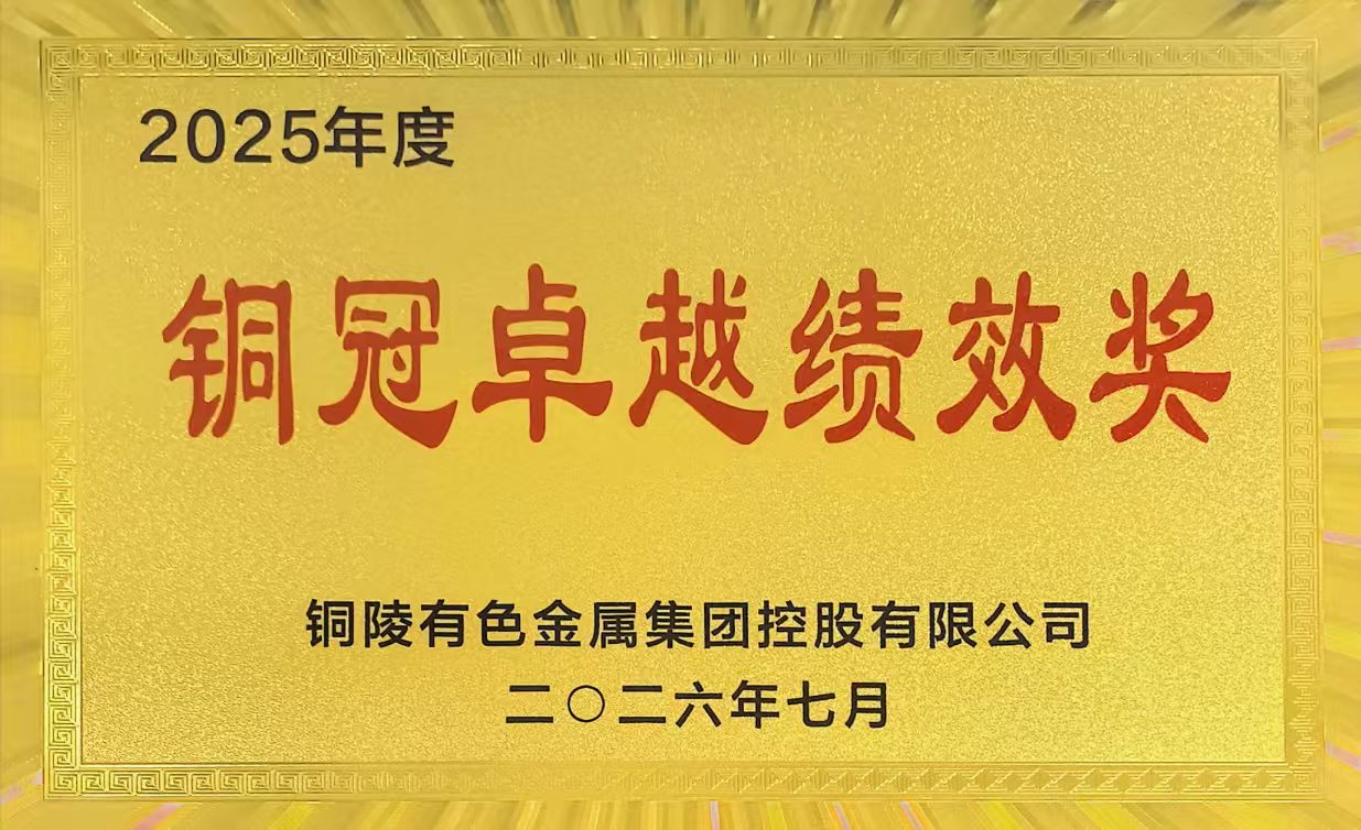 公司荣获集团公司2025年度&ldquo;铜冠卓越绩效奖&rdquo;