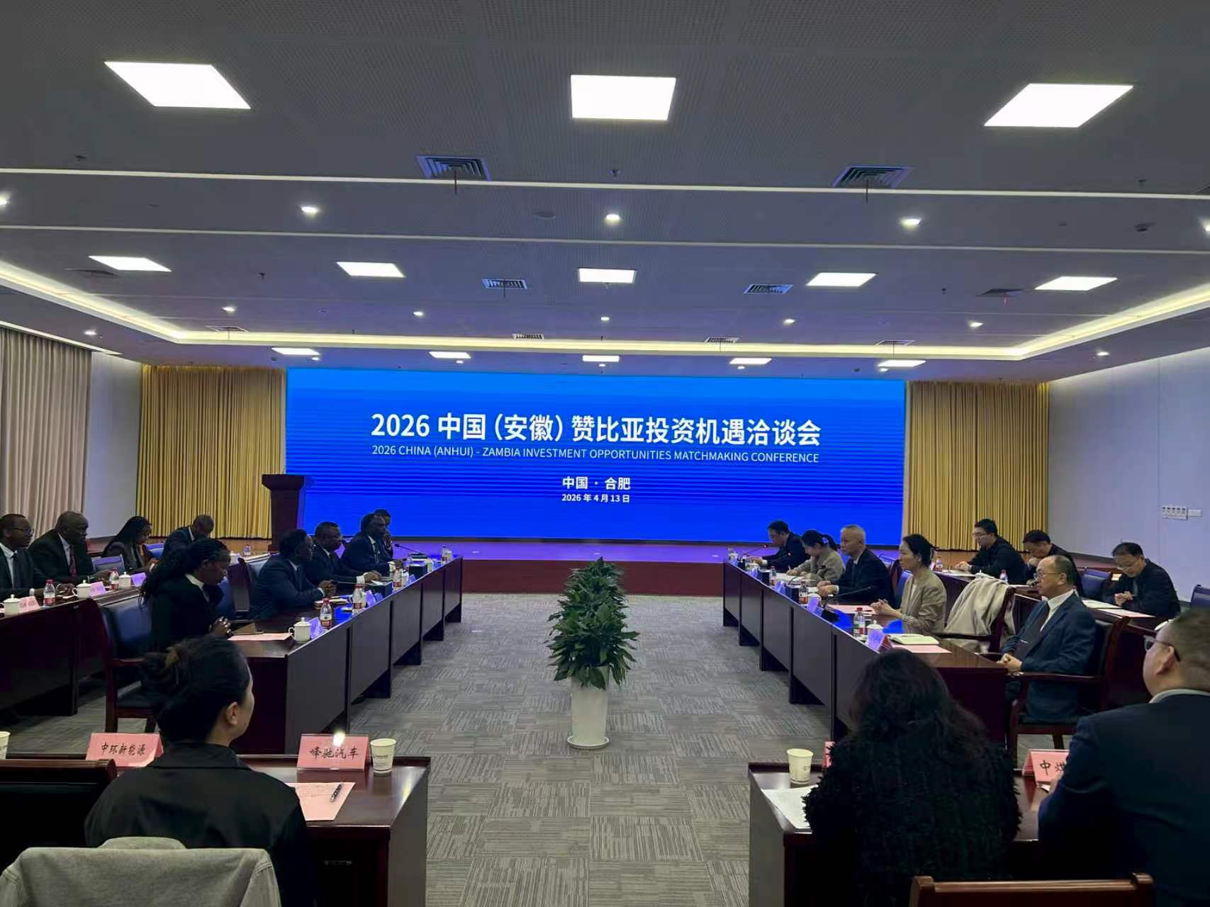 公司副总经理唐燕林赴安徽省商务厅参加2026年中国（安徽）赞比亚投资机遇洽谈会